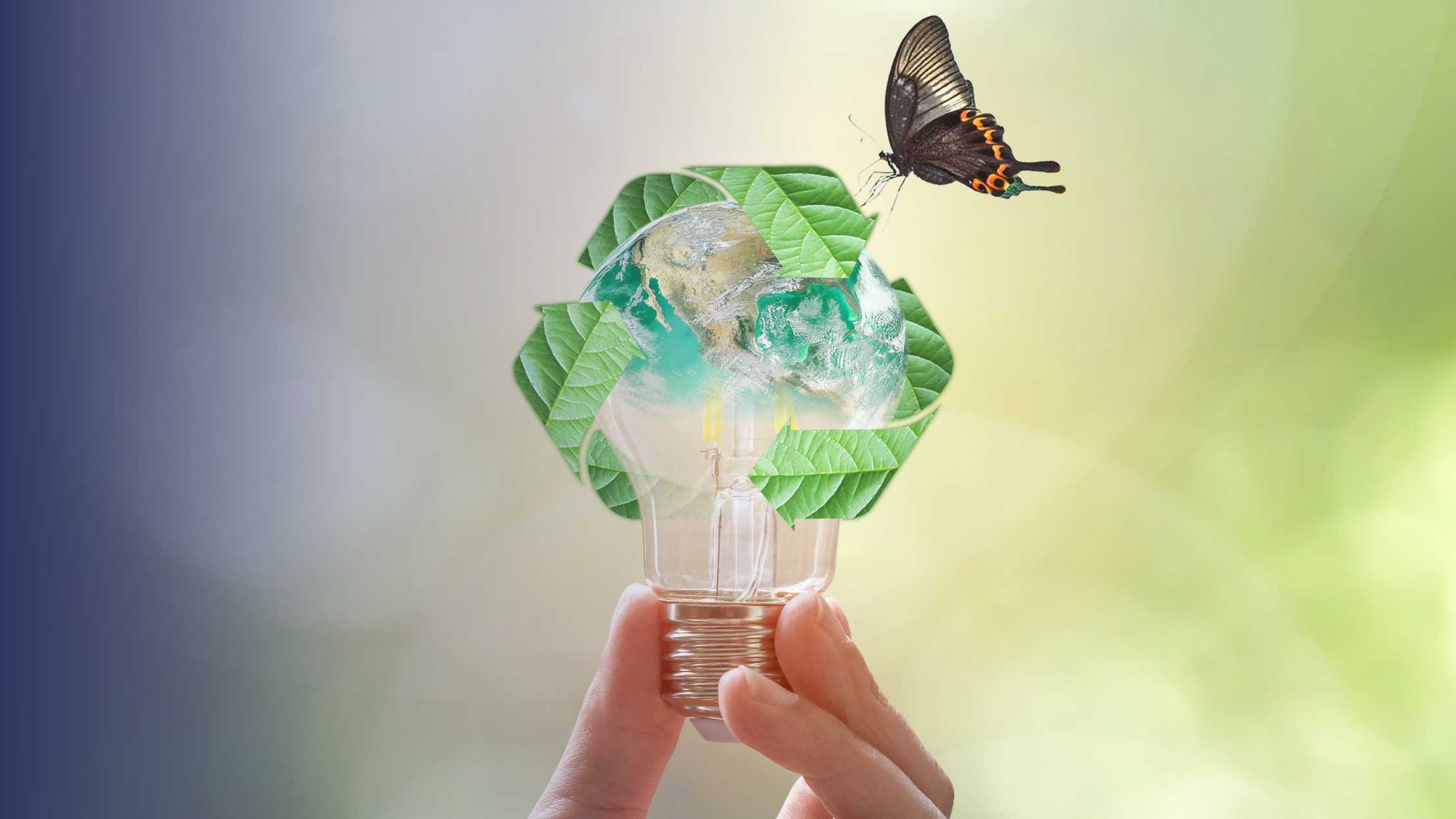 Hôtel écologique : 30 actions concrètes en faveur de l'environnement